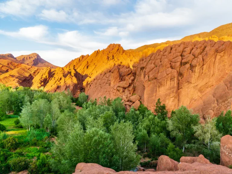 dades valley roses morocco tour