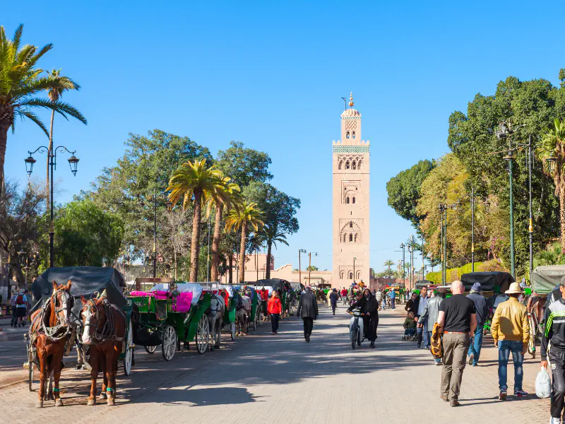marrakech aitbenhaddou travel